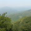 shubh