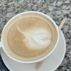 Taushif