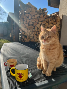 Samko, 18, Slovakia