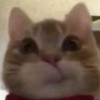 emm