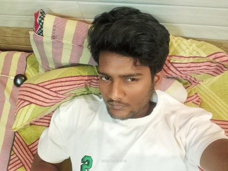 Tiger, 23, India
