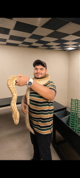 Rasputin, 26, Italy
