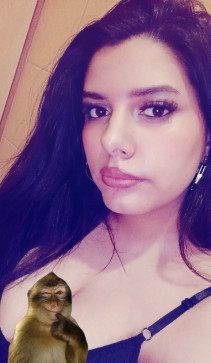 Chihuahua, 19