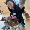 Kissa