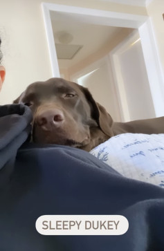 Sweet Soul, 33, Canada