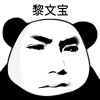 Bao Lecirc Van 