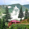 Tarun Thakur