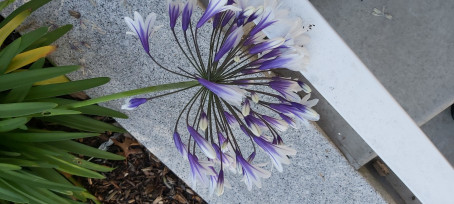 Alan, 28, United Kingdom