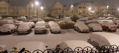 Alan, 30, United States Minor Outlying Islands