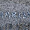 Harish