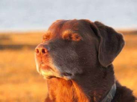 Taylor, 21, United States