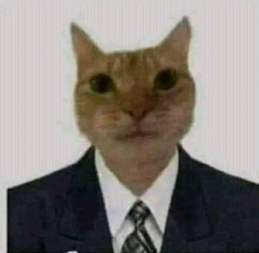 El Gatto, 21