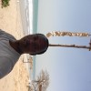 Omar Sabally, 30, Gambia