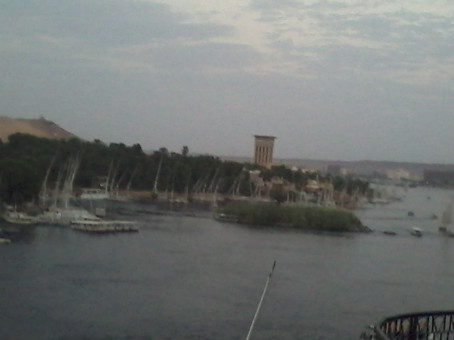 Lion, 30, United States Minor Outlying Islands