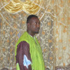 david
